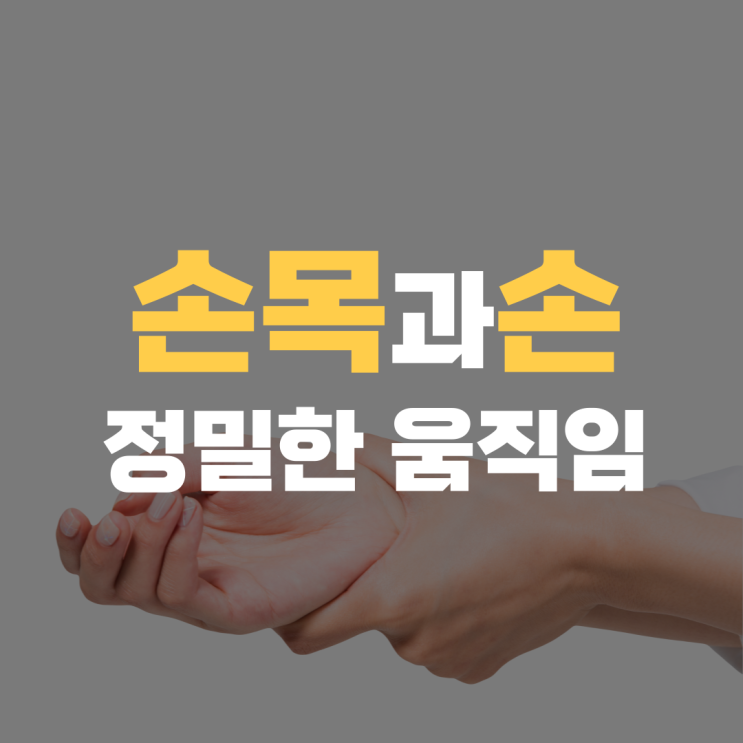 손목과 손의 해부학적 구조: 정밀한 움직임의 비밀 손목과 손의 해부학적 구조: 정밀한 움직임의 비밀