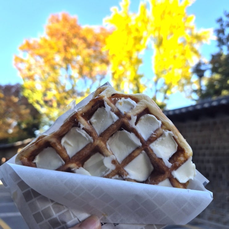 시청역 덕수궁 돌담길 와플 맛집 '리에제와플'