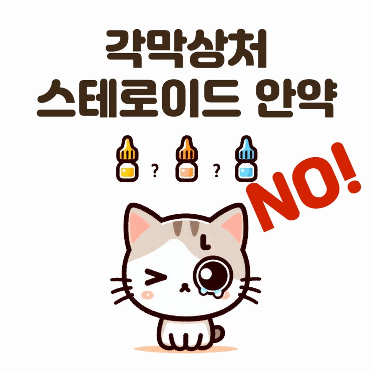  고양이 안약 함부로 쓰면 절대 안되는 이유 스테로이드