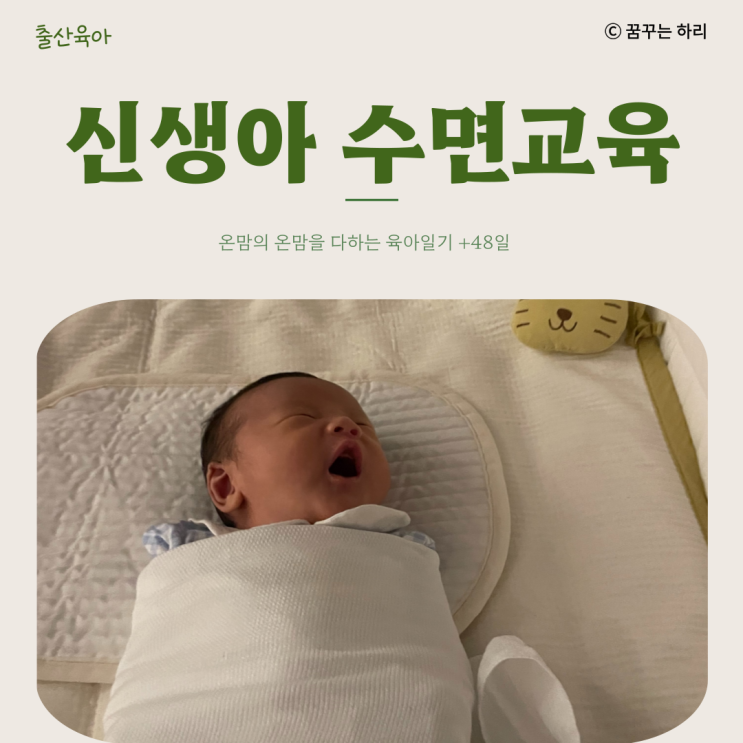  온맘의 온맘을 다하는 육아일기 D+48일 신생아 7주차 수유텀 수면시간 신생아수면교육 수면루틴