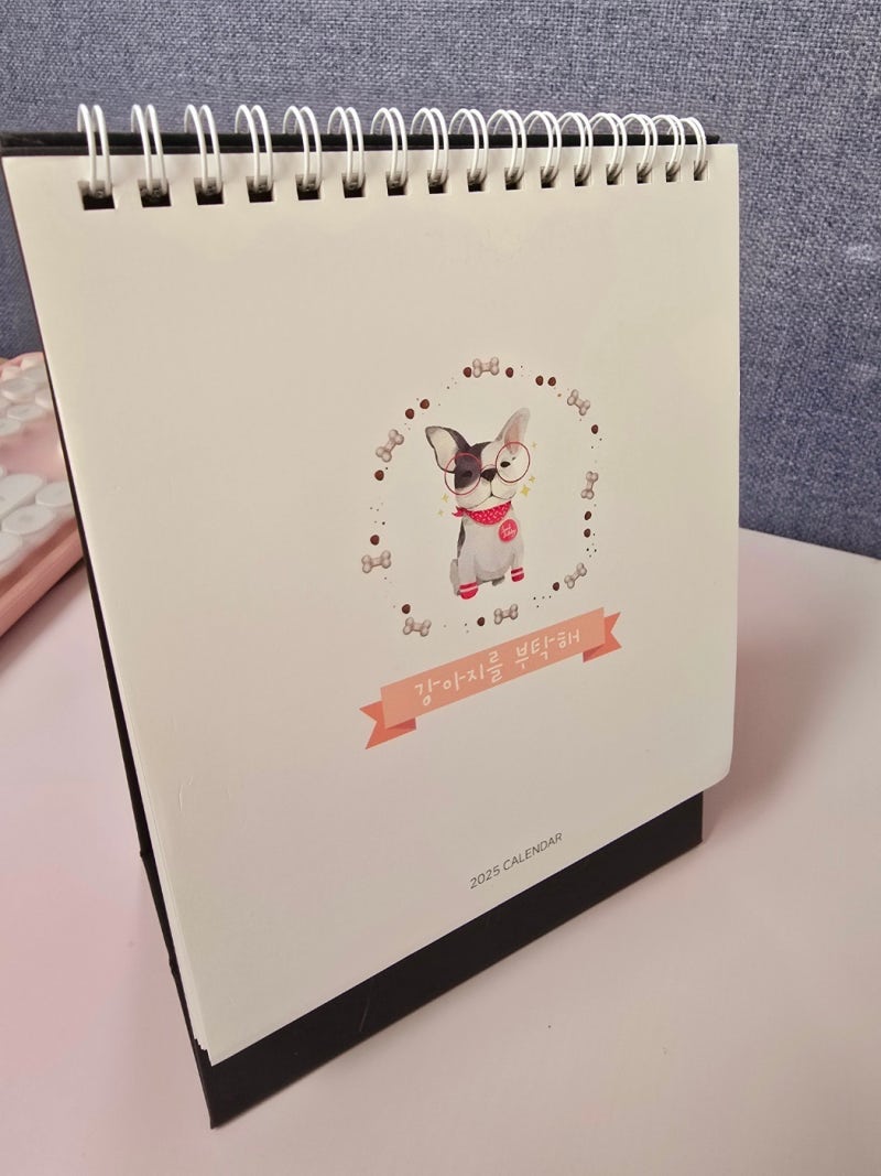사진 3