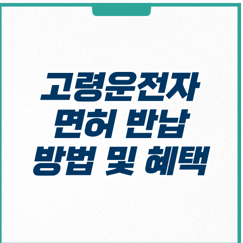  고령운전자 면허 반납 방법 및 전국 혜택