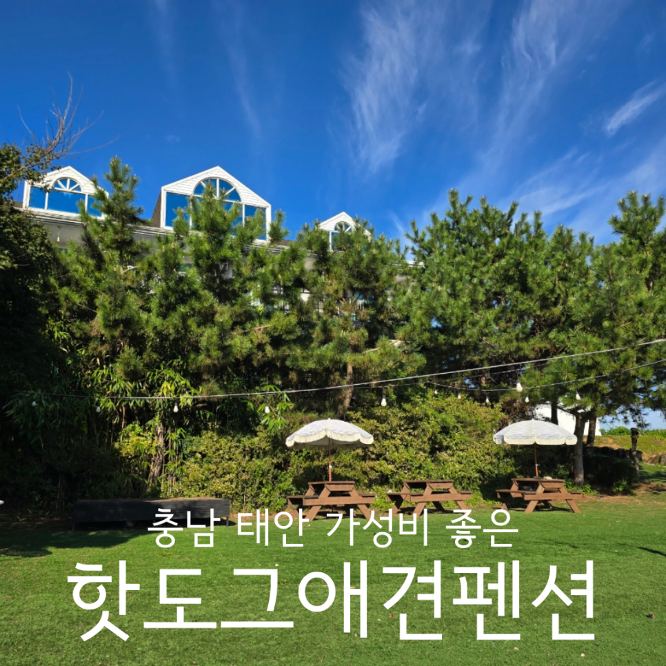 핫도그애견펜션 사진 1