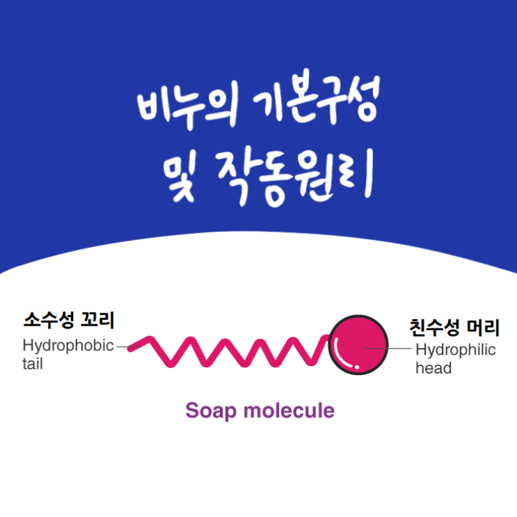  비누의 기본 구성 및 작동원리를 알아보자!