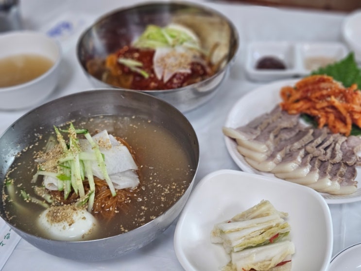  청양 가볼만한 곳 청양현지인 추천맛집 <청양고추냉면>