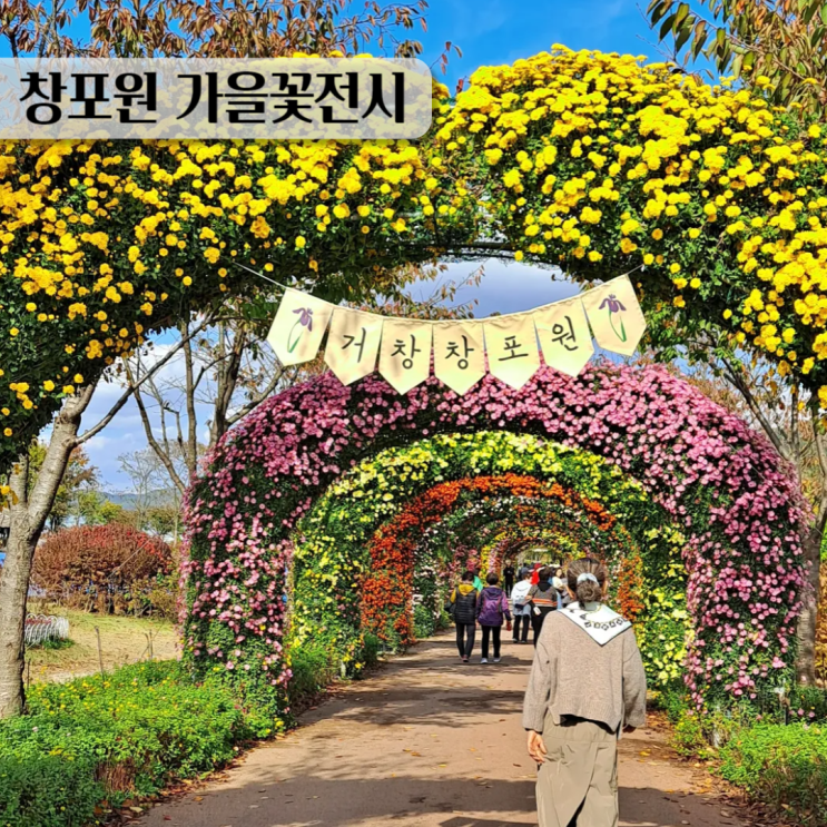  거창 창포원 국화축제 11월 가을꽃전시 후기
