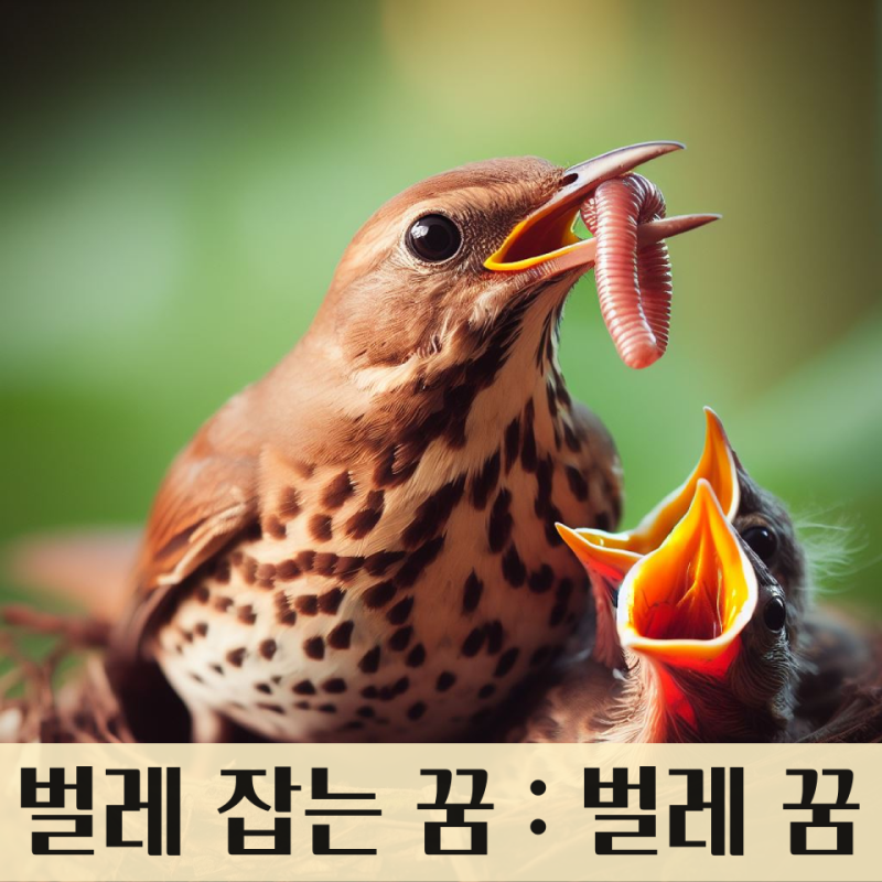 벌레 죽이는 꿈, 벌레 나오는 꿈, 벌레 잡는 꿈, 벌레 물리는 꿈, 돈벌레 잡는 꿈