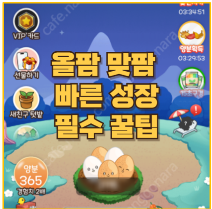  올팜 맞팜 빠른 성장 필수 꿀팁 친구초대 출석 보상부터 물 비료 관리까지