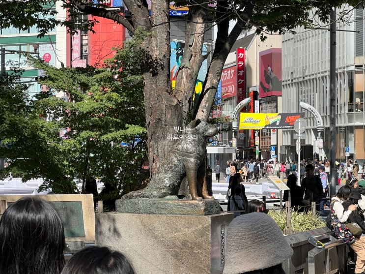 시부야에서 가장 먼저 만나는 하치코동상과 스크램블교차로
