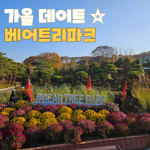  세종 베어트리파크 데이트 산책 단풍 나들이