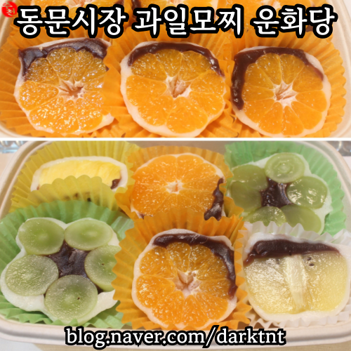 제주도 과일 모찌 디저트 제주공항 근처 동문시장 맛집 운화당