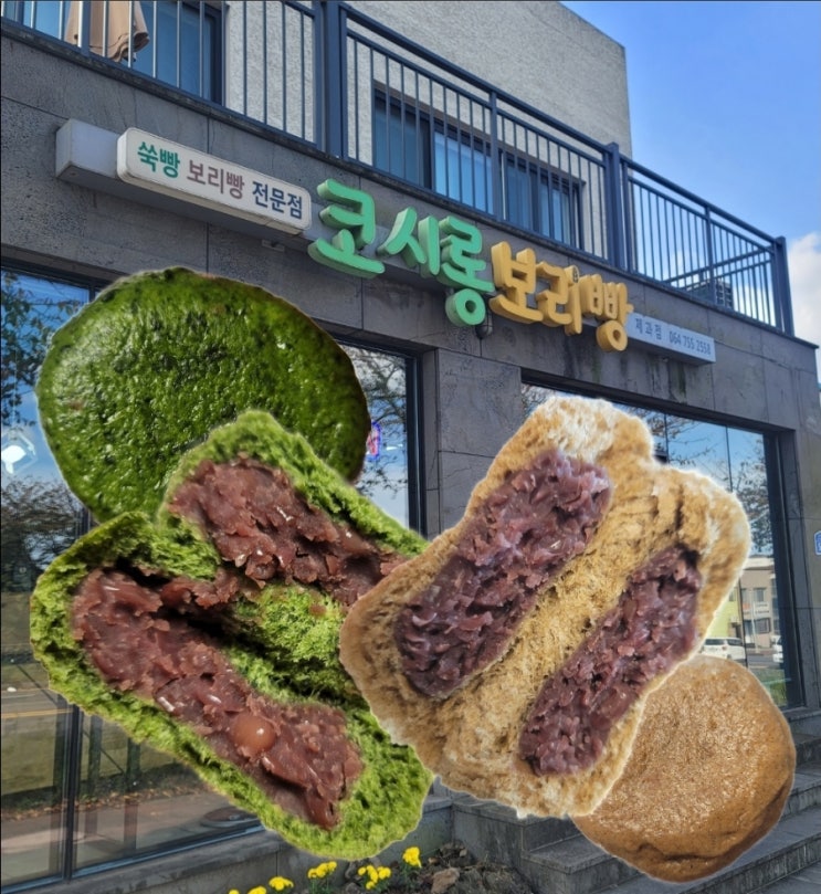  제주도 쑥찐빵 보리찐빵 유명한 빵집 코시롱보리빵 후기(여행선물,택배주문,간식)