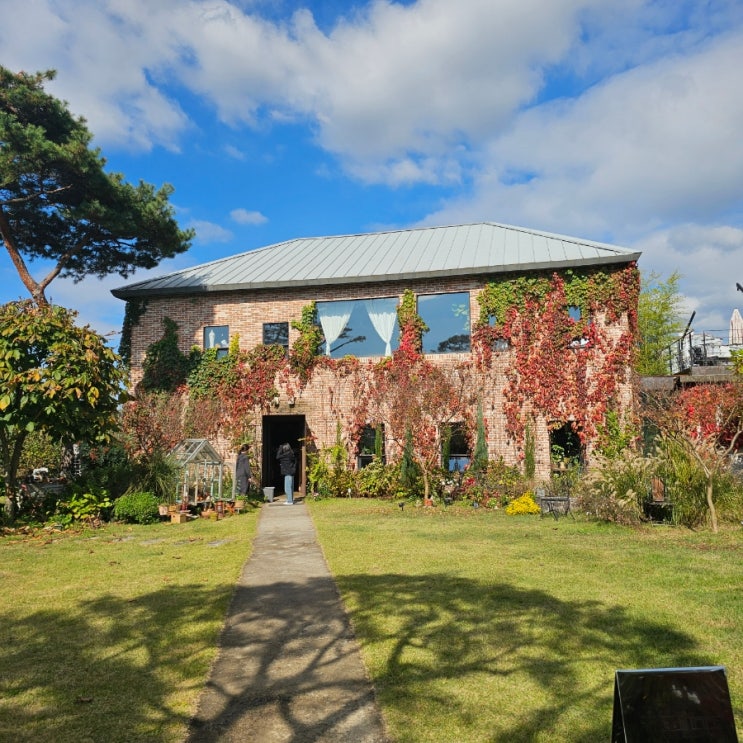 자연 속 힐링 전주 카페, 디오차드에서 여유로운 하루 즐기기 자연 속 힐링 전주 카페, 디오차드에서 여유로운 하루 즐기기