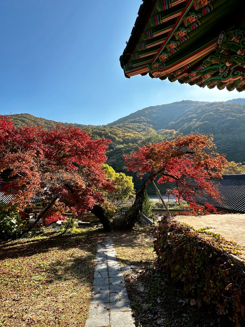 정책지식 2024.11.12. : 네이버 블로그