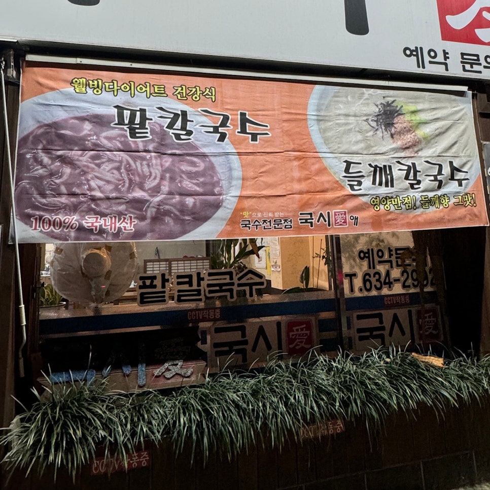 국시애 사진 2