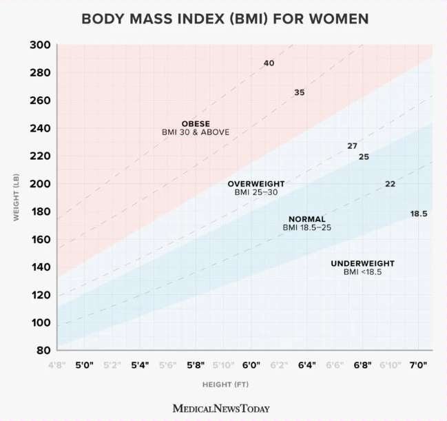 BMI 계산하기 뜻, 체질량지수 계산법 기준 알아보기 : 네이버 블로그
