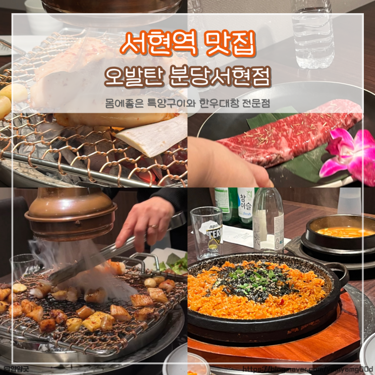  서현역 맛집 오발탄에서 회식한 후기 (몸에 좋은 특양 효능)