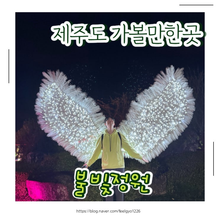  제주도 가볼만한곳 야간명소 불빛정원에서 인생사진남겨요