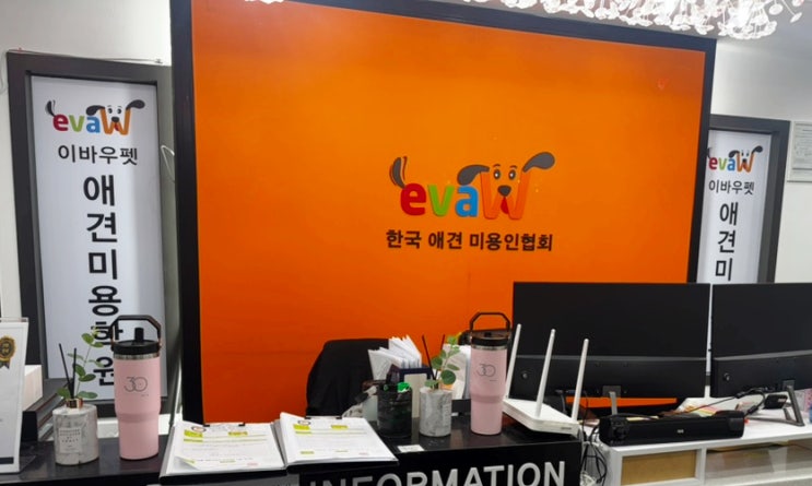  부천 강아지미용학원 이바우펫 장학지원(비용, 취업, 창업)