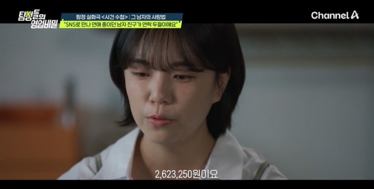 탐정들의 영업비밀 <b>딥페이크 로맨스스캠</b> 스토커 사건수첩 그... 