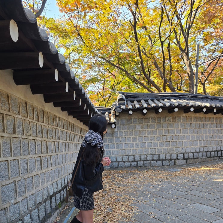 서울 단풍 명소 덕수궁 돌담길 가을 개방 시간 고종의길 연인 이별 속설