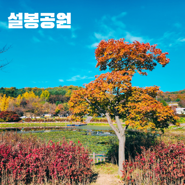  이천 설봉공원 설봉저수지 서울 근교 여행 가볼만한 곳