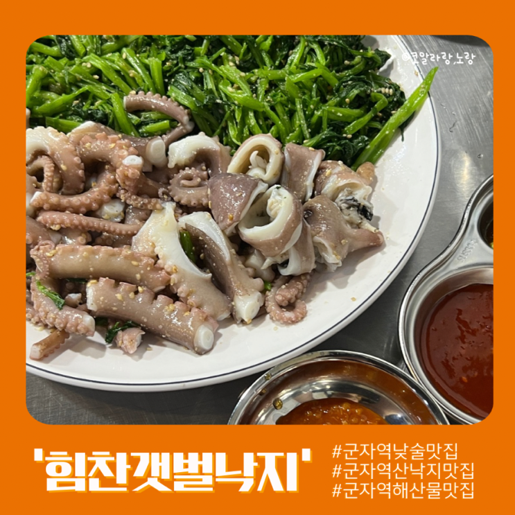  군자역 낮술맛집 힘찬갯벌낙지 산낙지 마른연포 vs 산낙지 초무침