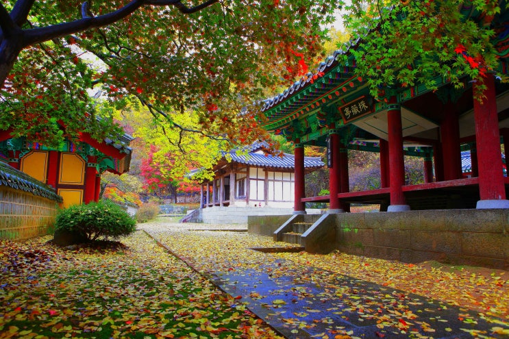  고즈넉한 금오산 자락에서 역사를 만나다 – 채미정 여행기
