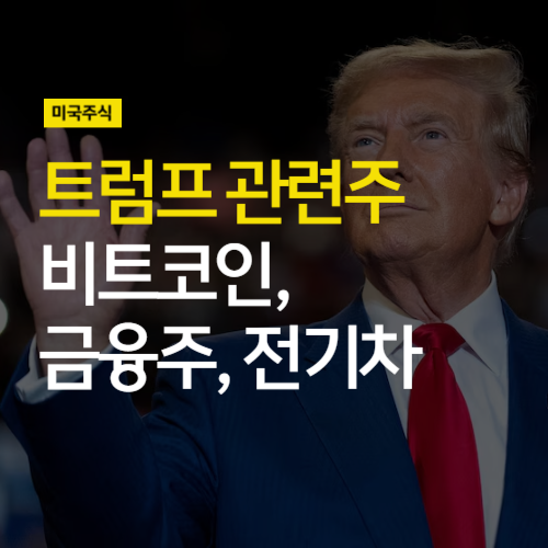 <b>트럼프</b> 관련주 - 비트코인, 금융주, <b>전기차</b> (feat. 테슬라... 