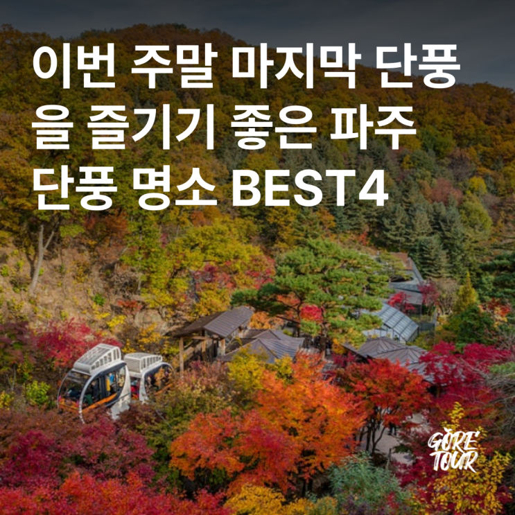  이번 주말 마지막 단풍을 즐기기 좋은 파주 단풍 명소 BEST4