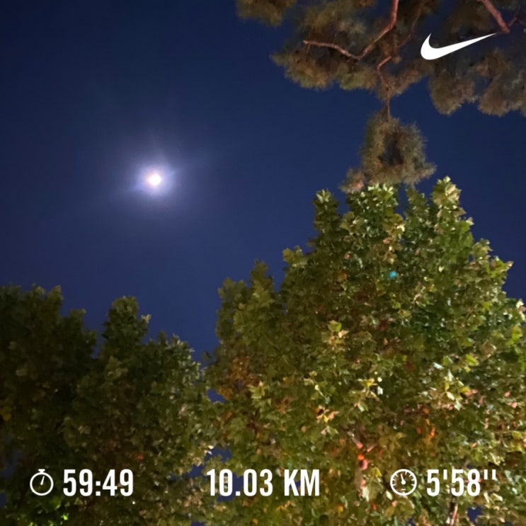  러닝로그_241113 가볍게 10km