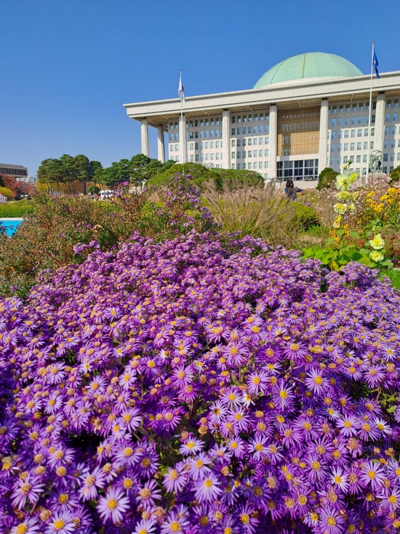 정책지식 2024.11.13. : 네이버 블로그