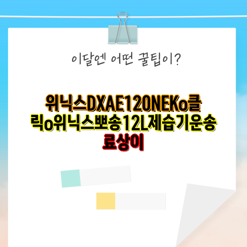 위닉스 DXAE120NEK 제습기 12L의 강력한 성능과 사용 팁 장단점 비교로 알아보는 최적의 선택 가....
