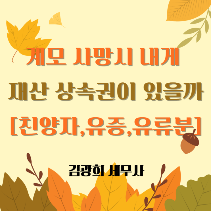  계모,새어머니 사망 시 재산 상속권이 있을까[친양자,유증,유류분]