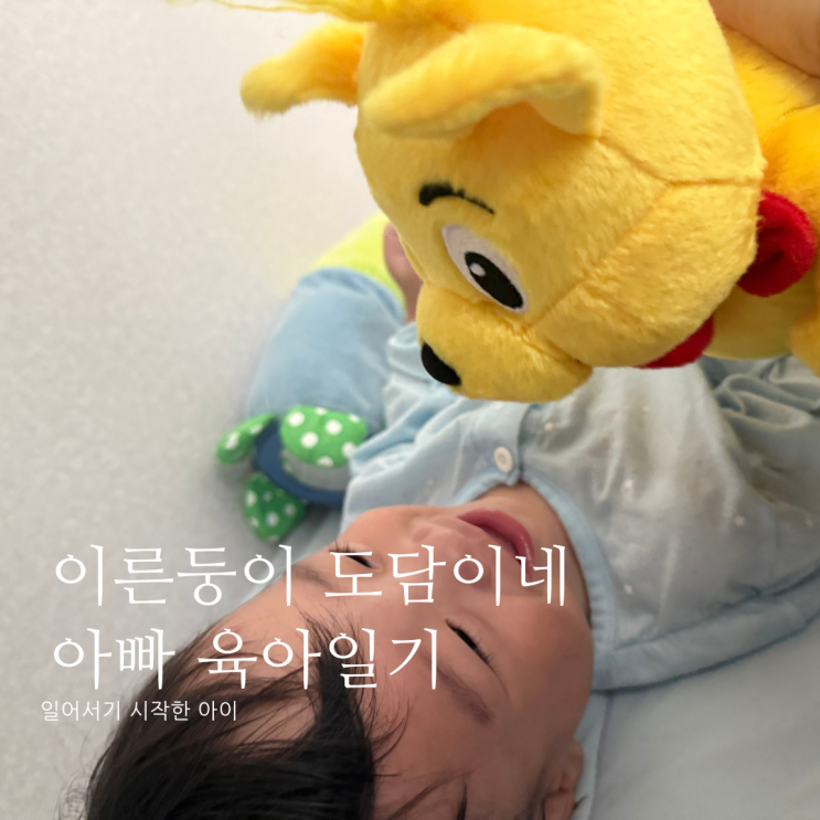 일어서기 시작한 아이 D+380 일어서기 시작한 아이 D+380