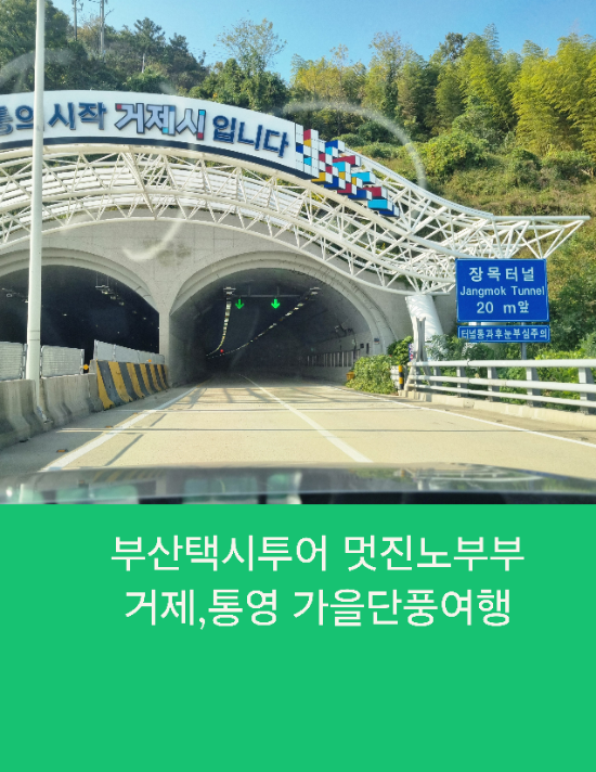  부산택시투어 멋진 노부부 거제,통영 가을단풍여행