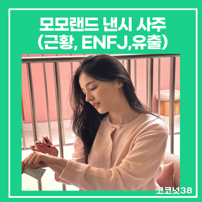모모랜드 낸시 사주(근황, ENFJ,유출)