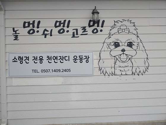 놀멍쉬멍고르멍 사진 1