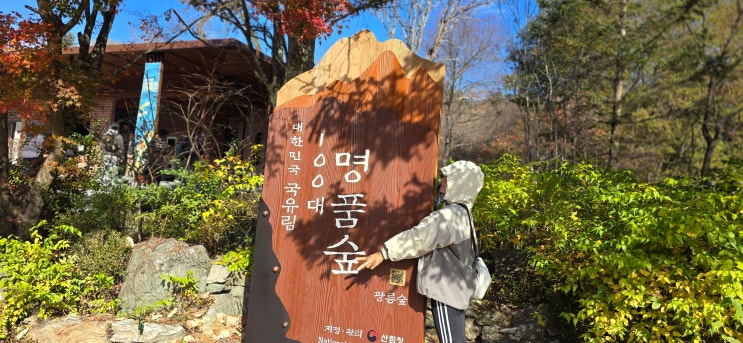  포천 가볼만한곳 포천 국립수목원
