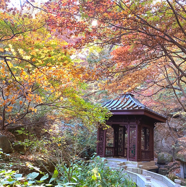  부암동 석파정 가을 단풍 : 주차 예매 입장료 대중교통 가는길, 서울 단풍명소 단풍구경