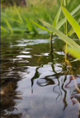 공기 공기