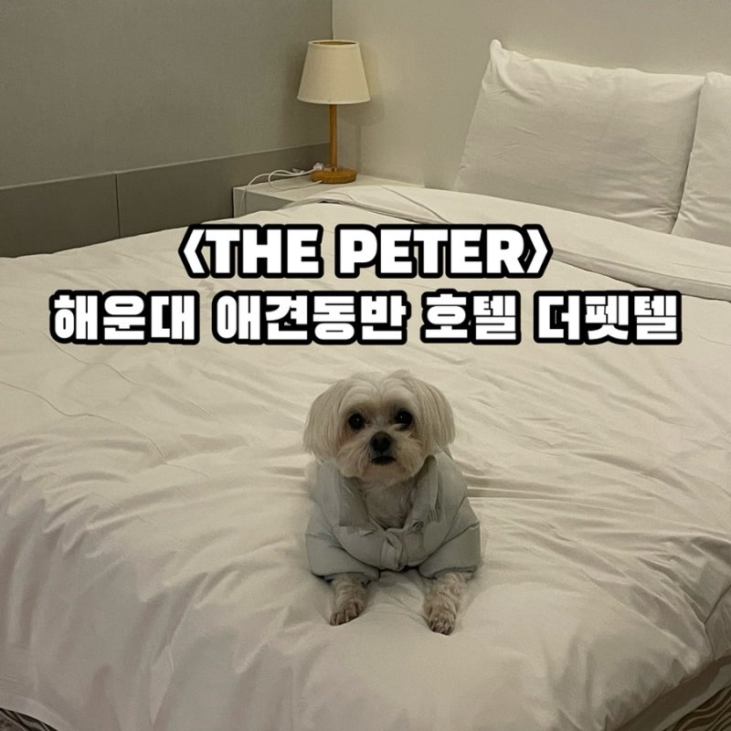 THE PETEL
