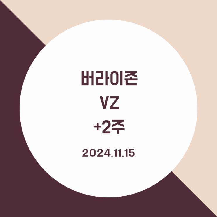 배당주모으기 버라이존 +2주