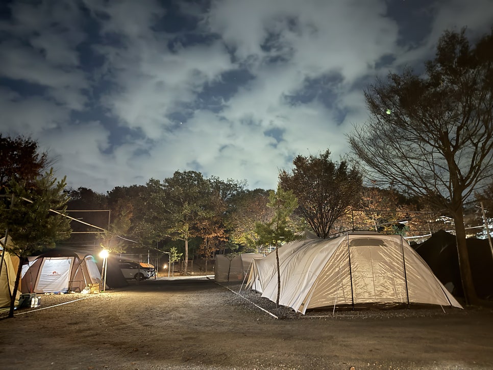 용인밤골캠핑장 사진 2