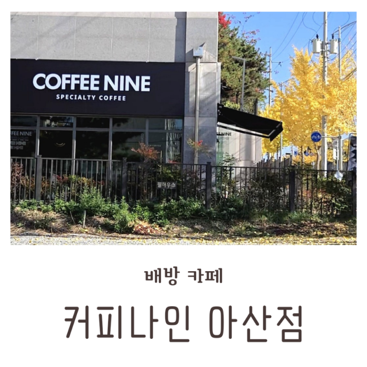  신상카페 단풍맛집 배방 커피나인 아산점