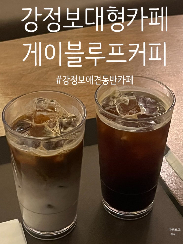  대구 강정보 대형카페 반려동물 동반 카페 게이블루프커피