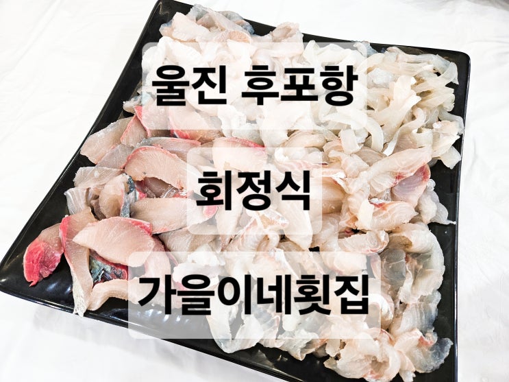  경북 울진 후포항 싱싱한 해산물 회를 다양하게 먹을 수 있는 회정식 맛집  가일이네횟집