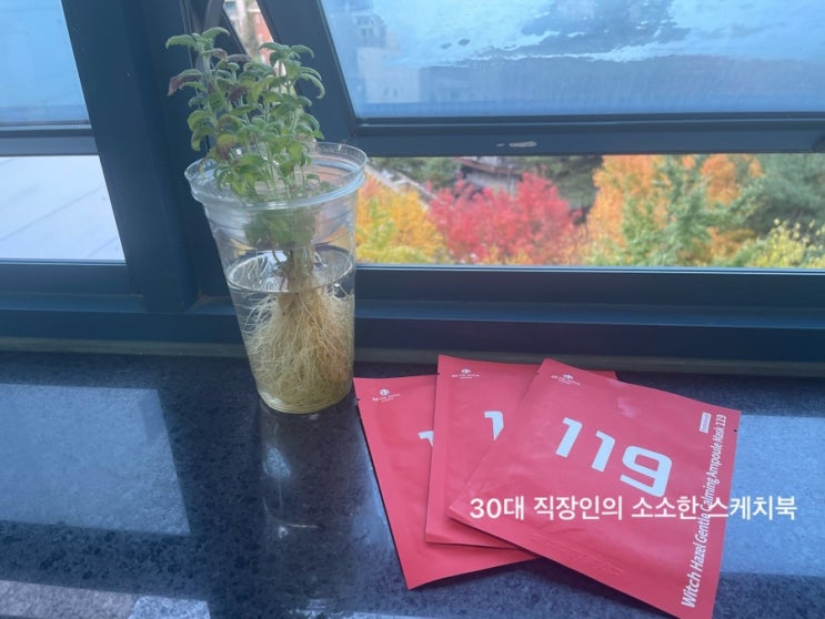  위치하젤수가 함유된 진정 마스크팩 비비드쏘울 119 마스크팩으로 꾸준히 사용중임