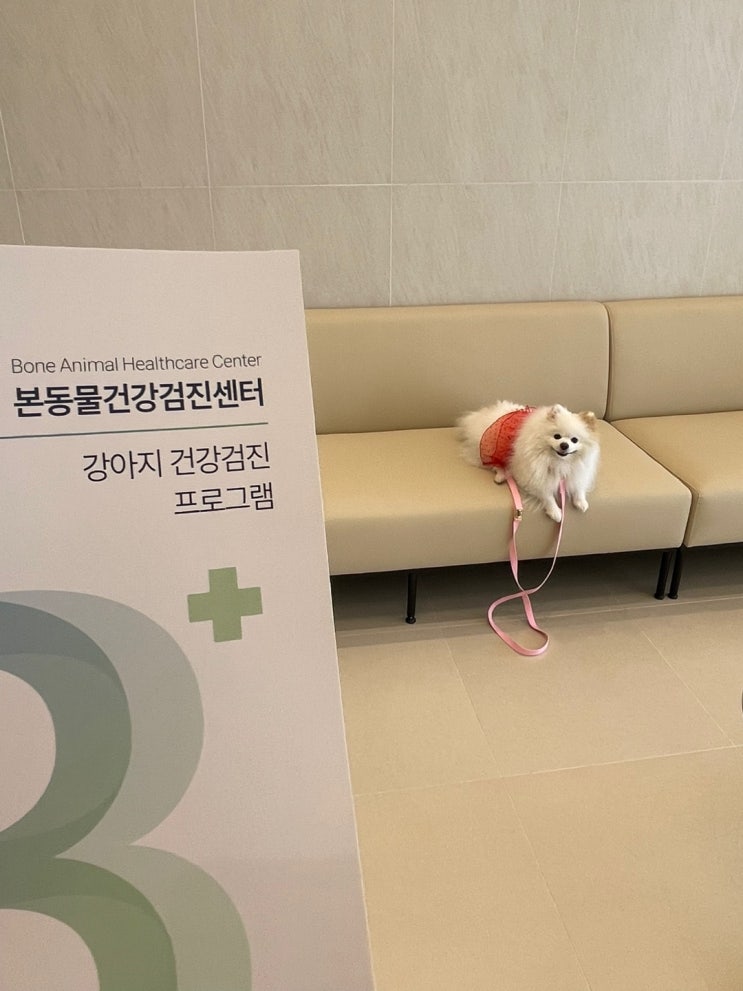 대구 유일 반려동물 건강검진센터 성서 동물병원 '본동물건강검진영상센터'
