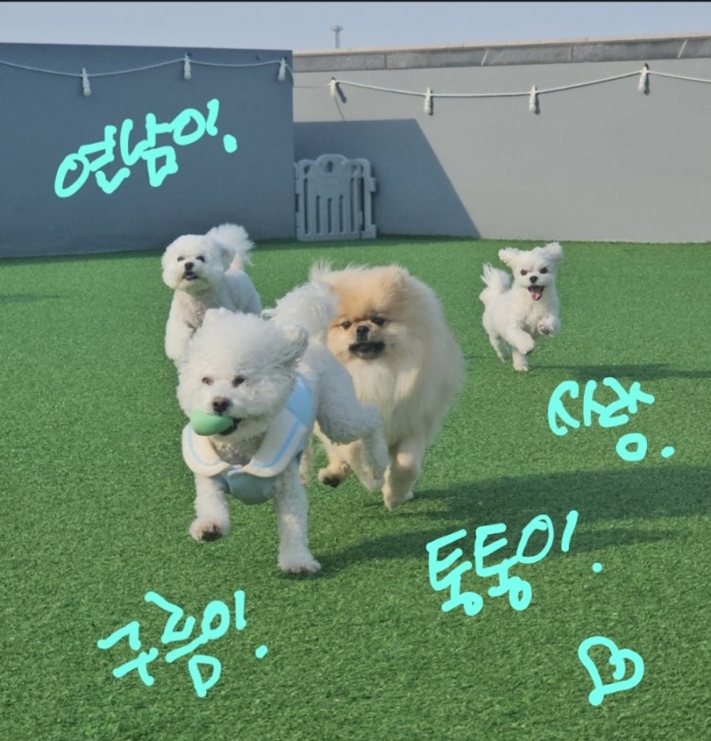 사진 4
